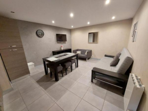 Atypique souplex 3P, pied des pistes, Les Deux Alpes, animaux admis - FR-1-516-203